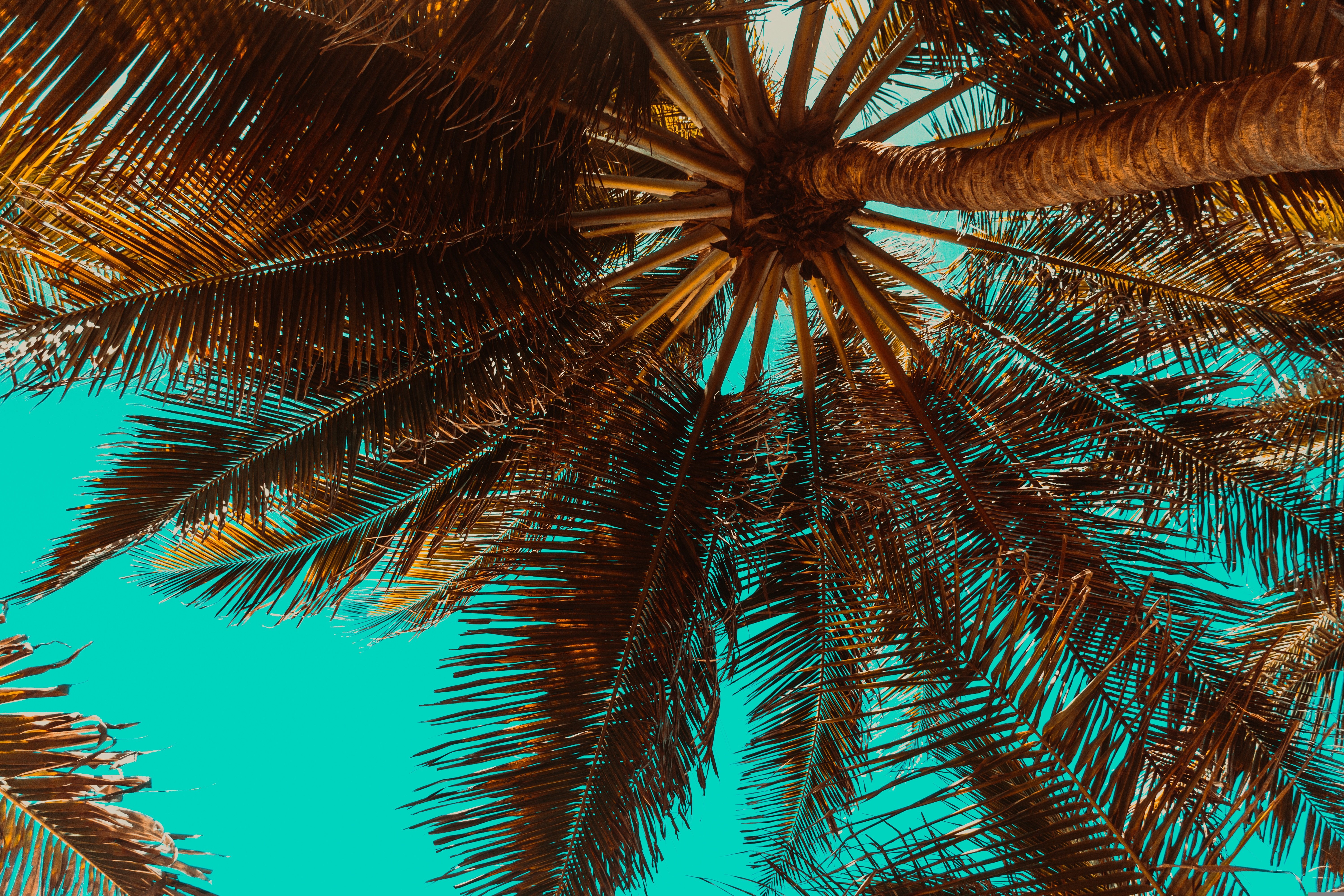 Beach at Costa del Sol